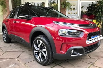 C4 CACTUS